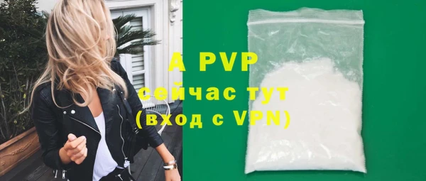 гашик Володарск