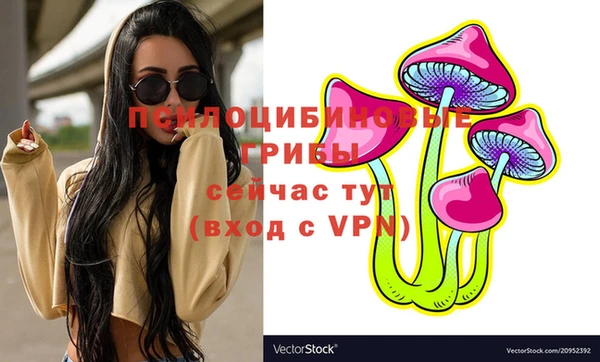 гашик Володарск