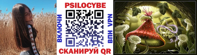 Купить закладки Новороссийск Галлюциногенные грибы мухоморы